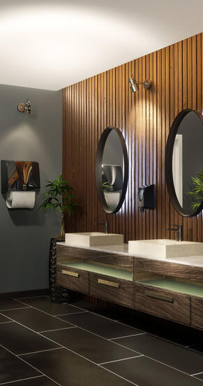 IRWR_Phoenix_bathroomdisplay