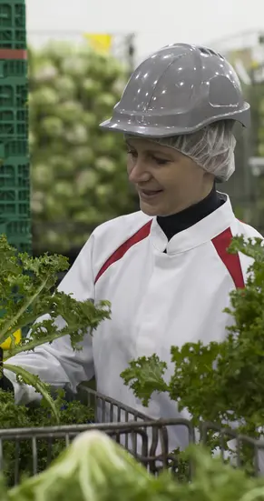 food industry