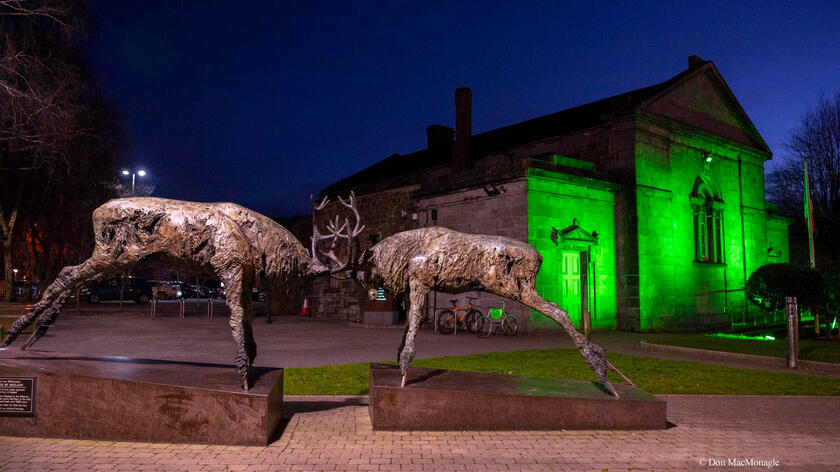 Greening of Killarney