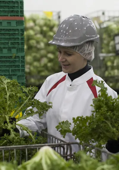 food industry