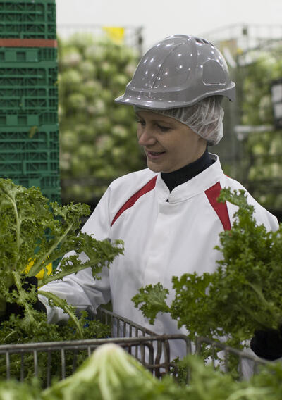 food industry