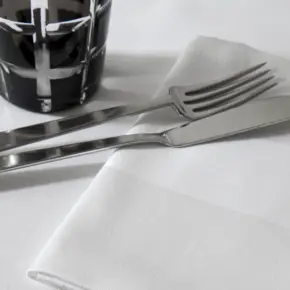 Satin Band Napkin and Tablecloth
